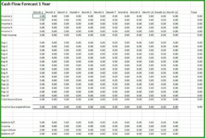 Pro Forma Cash Flow Projection Template