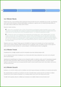 Record Label Business Plan Template