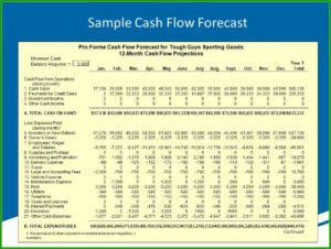 Sample Pro Forma Cash Flow Projection