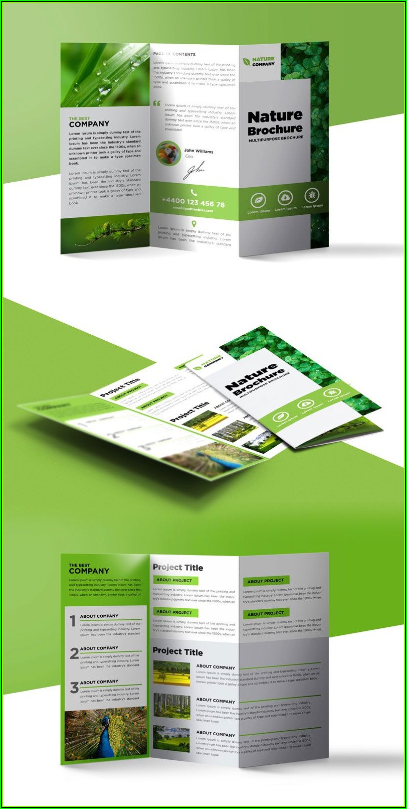 Three Fold Brochure Template Free