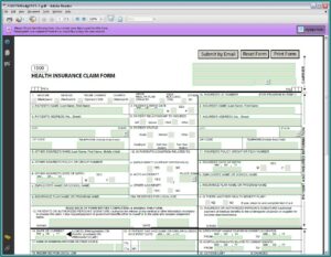 1500 Cms Form Instructions