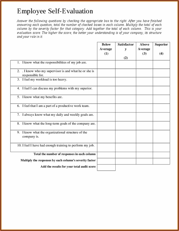 Employee Self Performance Evaluation Form