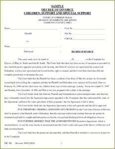 Final Divorce Decree Template