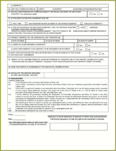 Form For Passport Renewal Indian