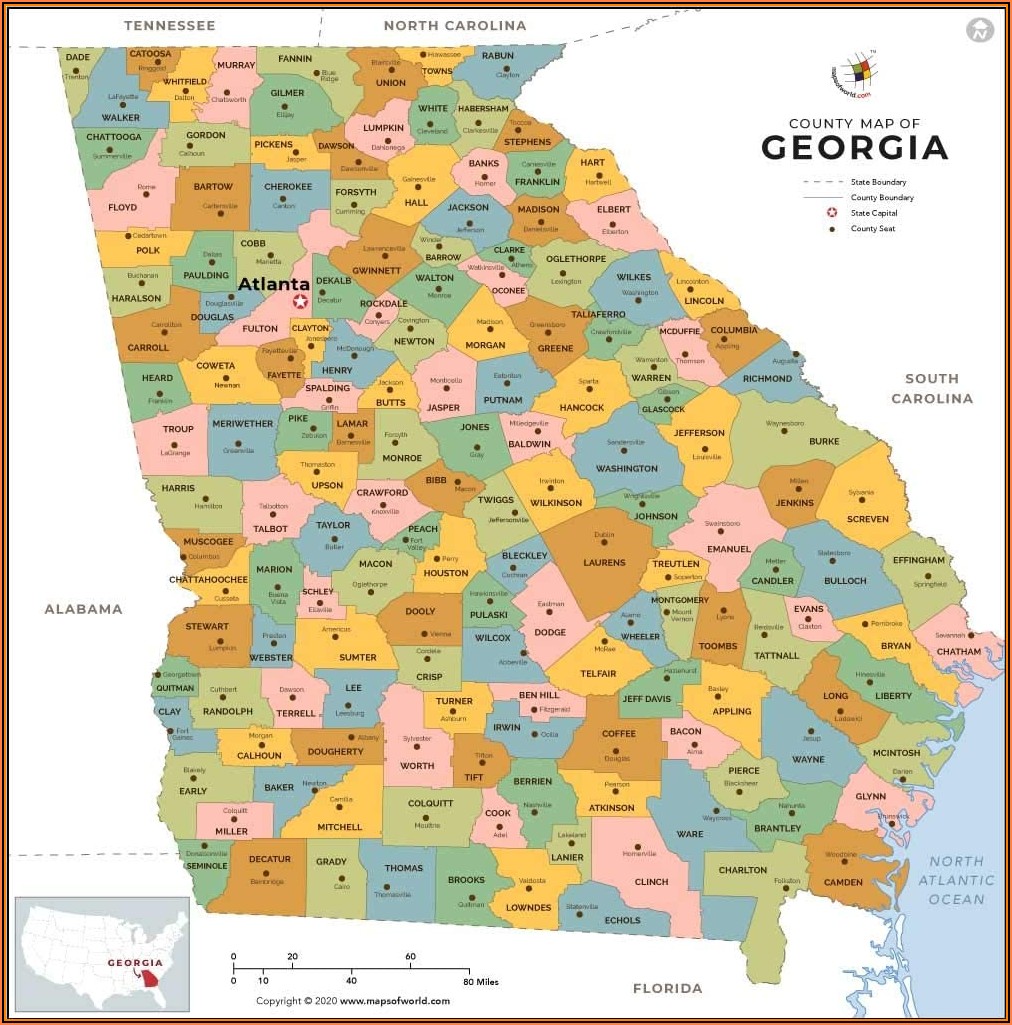 Georgia Wall Map
