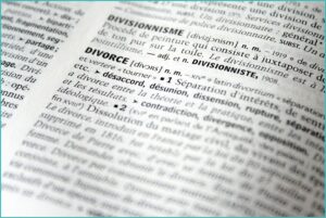 Illinois Divorce Forms Lake County