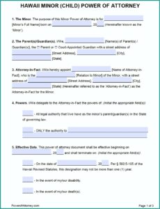 Legal Power Of Attorney Form Hawaii