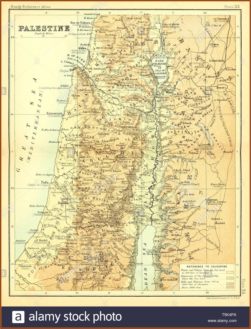 Old Map Of Palestine And Israel