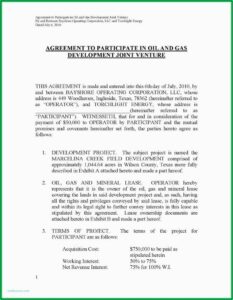Operating Agreement Template For Partnership Llc