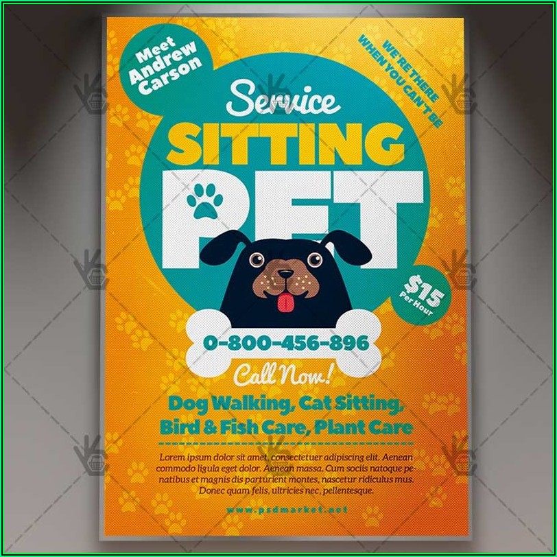 Pet Sitter Flyer Template Free Download