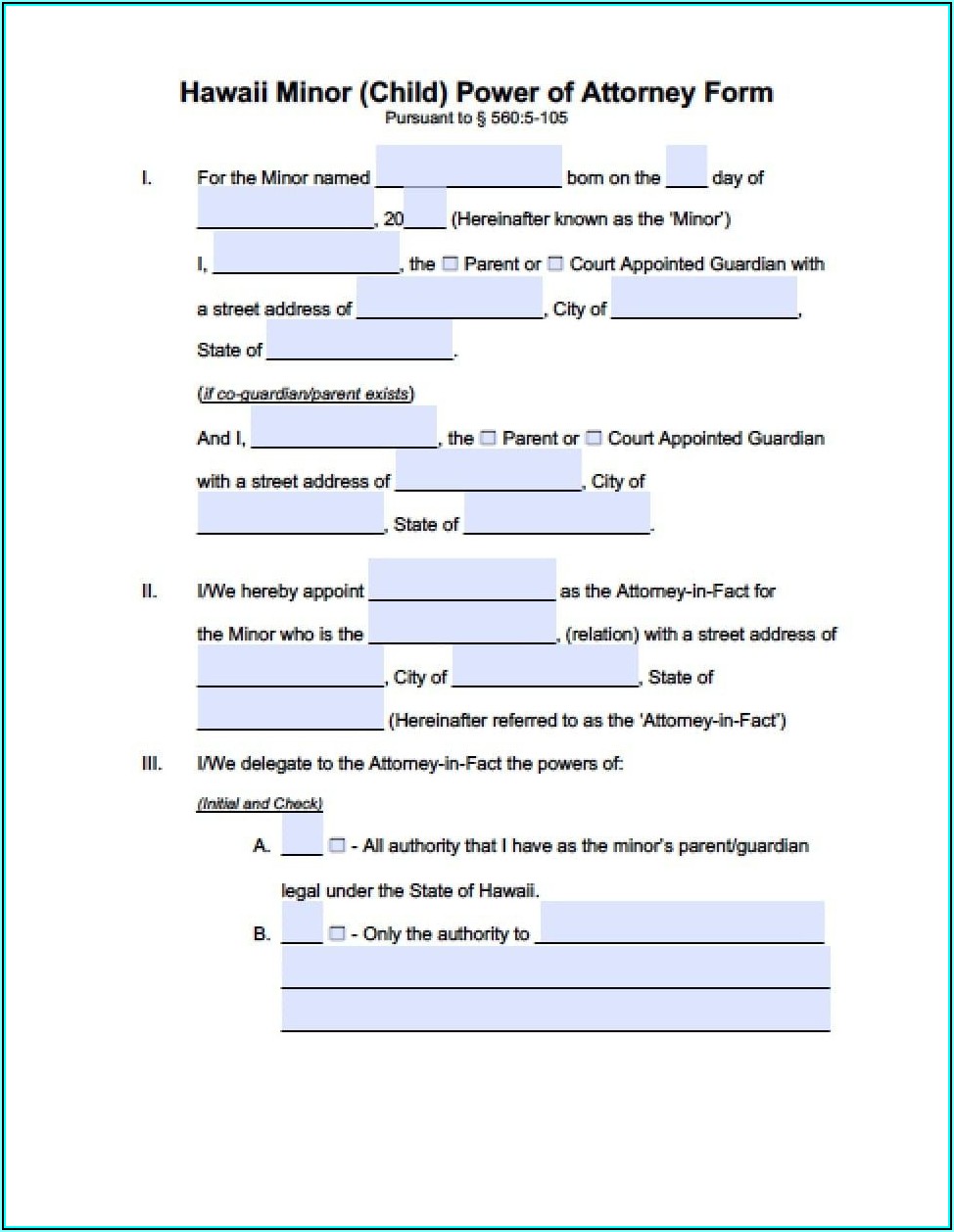 Power Of Attorney Form Hawaii State