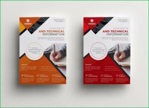 Professional Flyer Design Templates