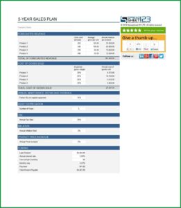 Sales Strategy Plan Template Word