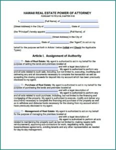 Sample Power Of Attorney Form Hawaii