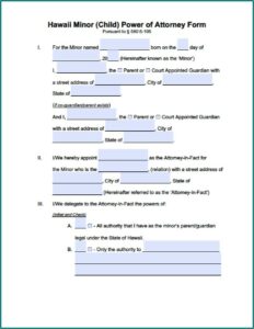 Special Power Of Attorney Form Hawaii