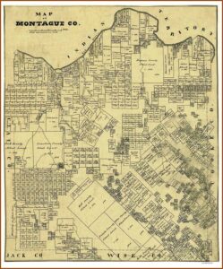 Texas County Wall Map