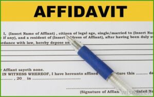 Affidavit Of Guardianship Format