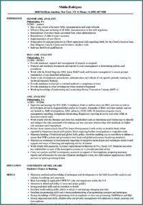 Aml Policy Template Singapore