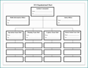 Blank Org Chart Template Word