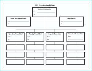 Blank Organizational Chart Template Word