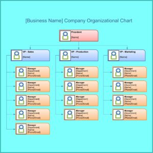 Blank Organizational Flow Chart Template