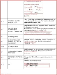 Cms 1500 Form 0212 Instructions