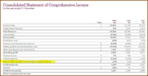 Consolidated Financial Statement Format