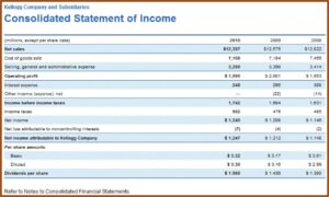 Consolidated Financial Statement Format Excel