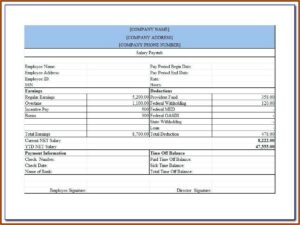 Create A Paycheck Stub Template