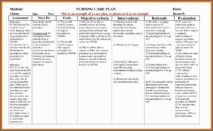 Elderly Care Plan Example