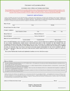 Employee Consent Form For Background Check