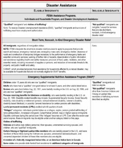 Fema Disaster Application Form