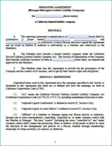 Florida Llc Operating Agreement Template Free