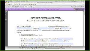 Florida Secured Promissory Note Form