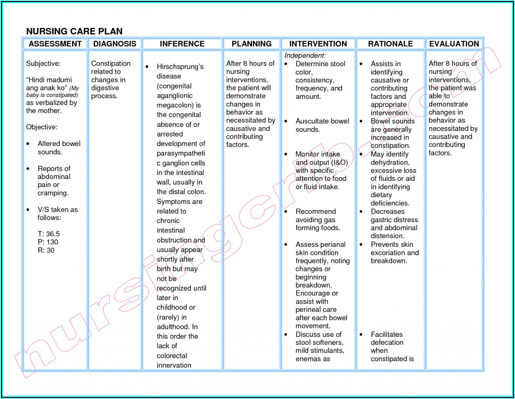 Geriatric Nursing Care Plan Template