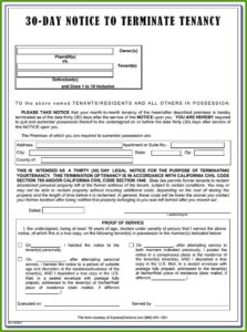 Holdover Tenant Eviction Forms Florida