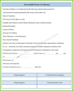 Irrevocable Power Of Attorney Example