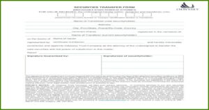 Irrevocable Power Of Attorney Form