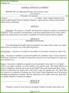 Irrevocable Power Of Attorney Form Free