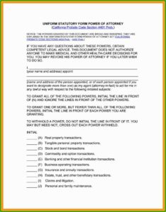 Irrevocable Power Of Attorney Format