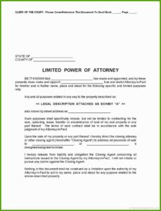 Irrevocable Power Of Attorney Format Pdf