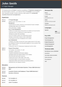 Microsoft Professional Resume Templates
