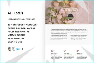 Newsletter Template Builder