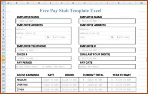 Pay Stub Template Pdf