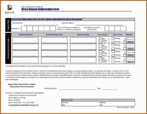 Pay Stub Template Pdf Fillable