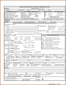 Pediatric Physical Therapy Progress Note Template