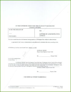 Probate Letters Of Administration Form