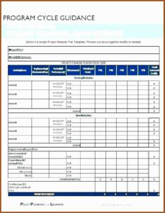 Project Implementation Plan Example Excel