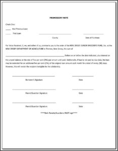 Promissory Note Canada Template