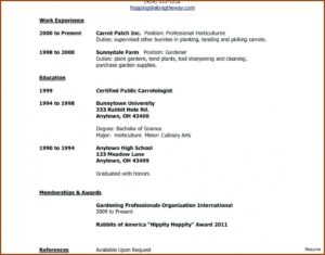 Teenager First Job Resume Examples